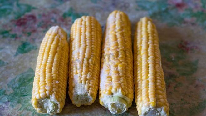 Рецепт Заморозка кукурузы на зиму в початках