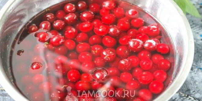 Рецепт заморозка вишни на зиму