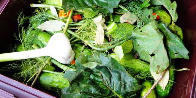 Рецепт засолка бочковых огурцов на зиму