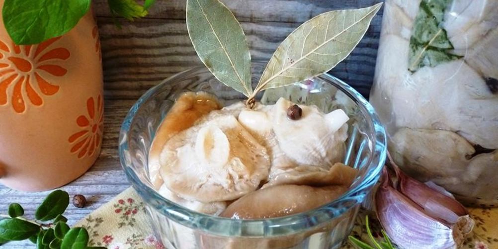 Как приготовить засолка груздей на зиму в банках