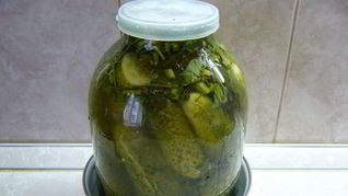 Рецепт Засолка огурцов в банках