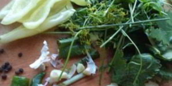 Рецепт засолка огурцов в банках