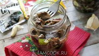 Рецепт Засолка опят на зиму горячим способом в банках