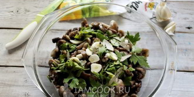 Рецепт засолка опят на зиму горячим способом в банках