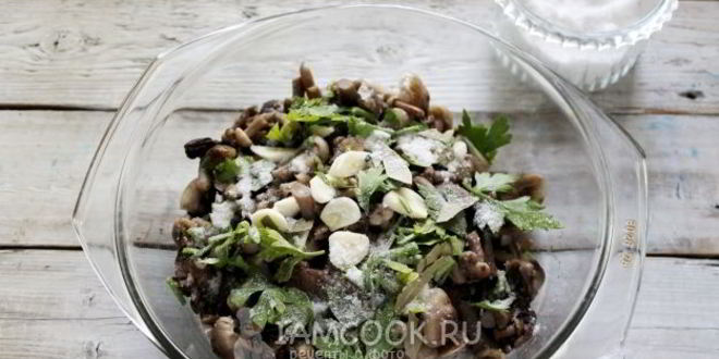 Рецепт засолка опят на зиму горячим способом в банках