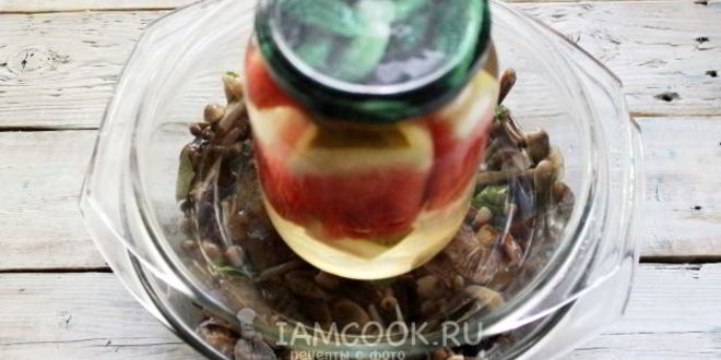 Рецепт засолка опят на зиму горячим способом в банках