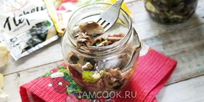 Рецепт засолка опят на зиму горячим способом в банках