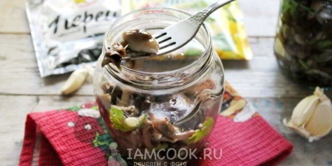 Рецепт засолка опят на зиму горячим способом в банках