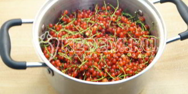 Рецепт желе из красной смородины на зиму