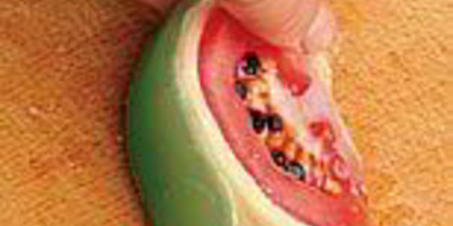 Рецепт бутерброд с арбузом