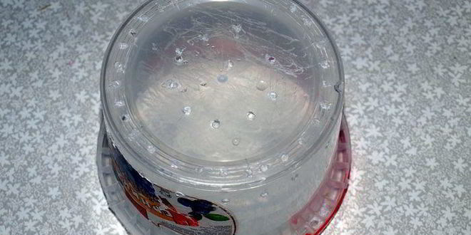 Рецепт домашний твердый сыр