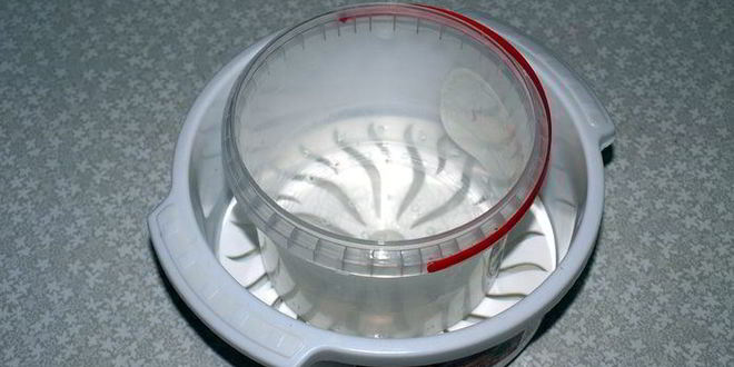 Рецепт домашний твердый сыр