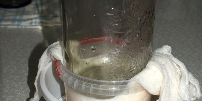 Рецепт домашний твердый сыр