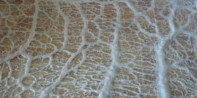 Рецепт домашняя колбаса в свиной сетке