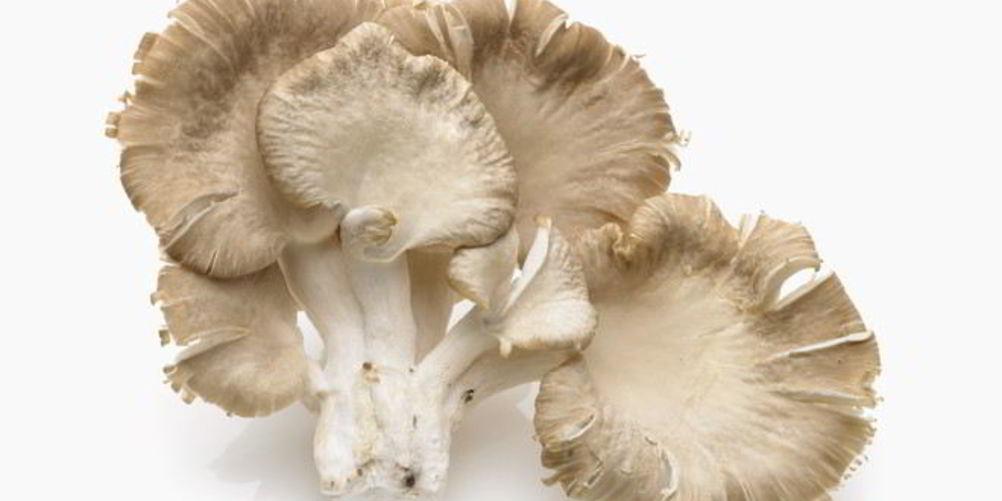 Рецепт кабачковая икра в духовке на зиму