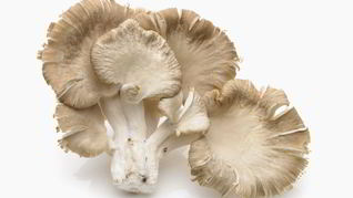 Рецепт Икра из вешенок