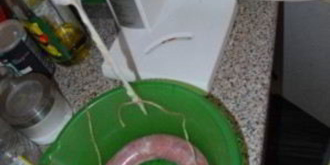 Рецепт копченая колбаса