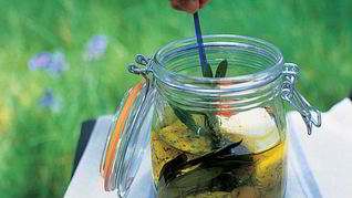 Рецепт Козий сыр в маринаде