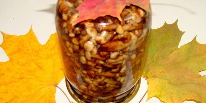 Рецепт мини-опят маринованных