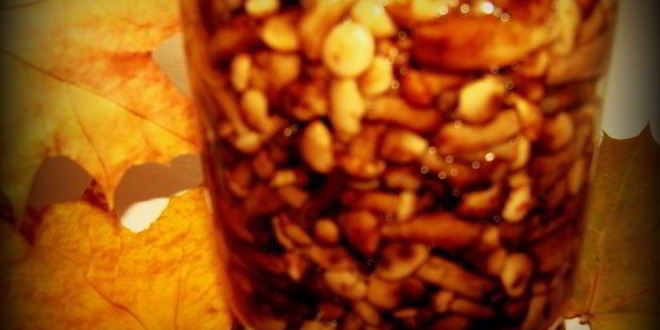 Рецепт мини-опят маринованных