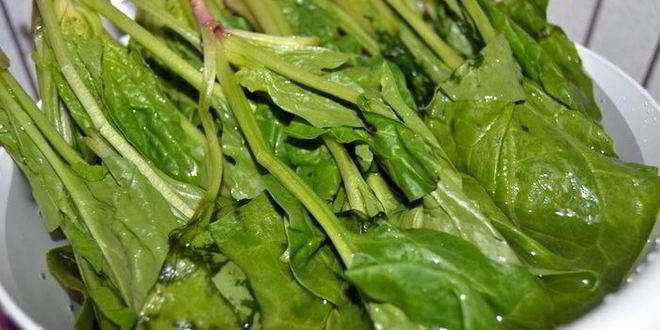 Рецепт фриттата с сыром и шпинатом