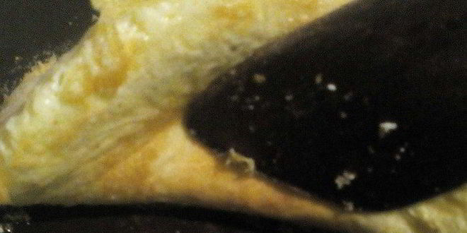 Рецепт классический французский омлет с ветчиной и сыром