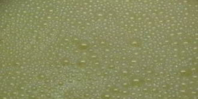 Рецепт омлет на воде