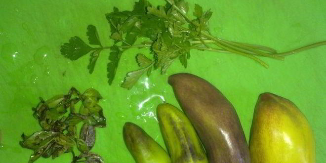 Рецепт омлет октябрьский