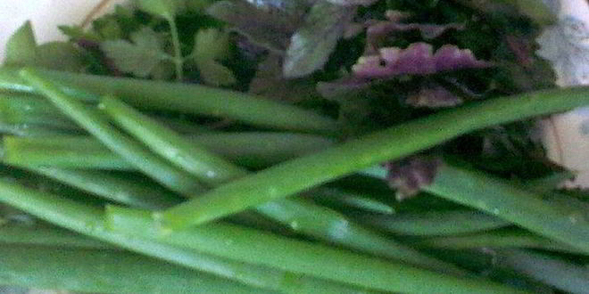 Рецепт омлета витаминки