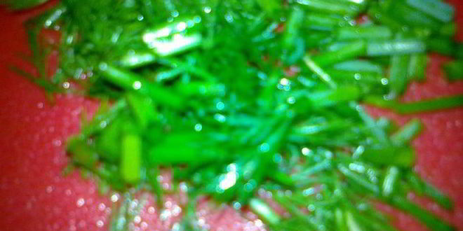 Рецепт утреннего омлета