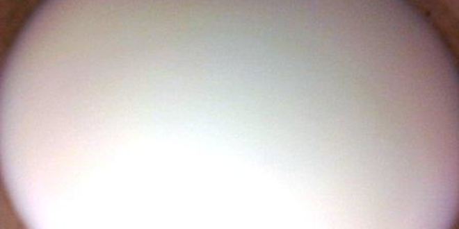 Рецепт воздушный омлет