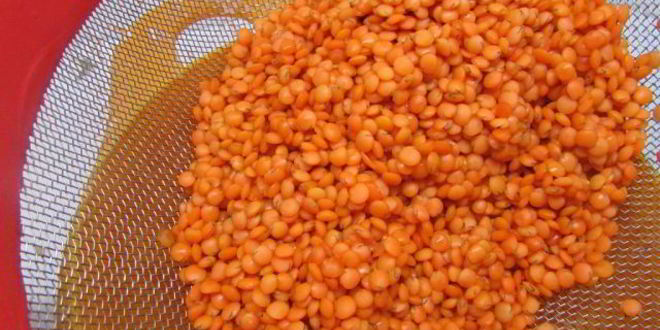 Рецепт паштета иза чечевиц с курагого