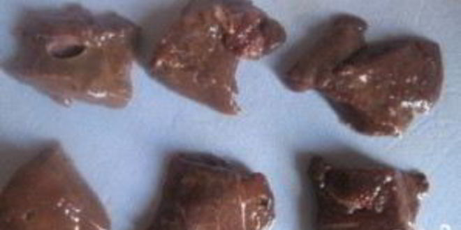 Рецепт паштет из говяжьей печени диетический