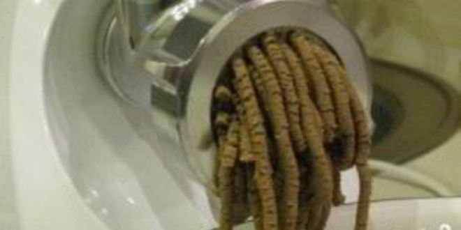 Рецепт паштет из говяжьей печени диетический