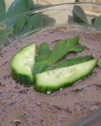 Пикантный паштет из куриной печени