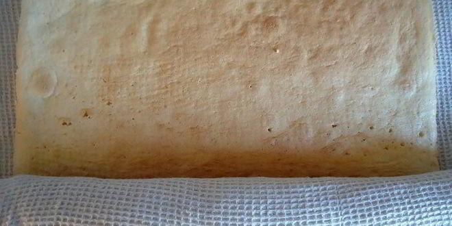 Рецепт бисквитный рулет с яблочным парфе