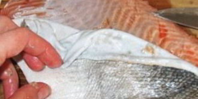 Рецепт фаршированный рулет из семги с рисом и шпинатом