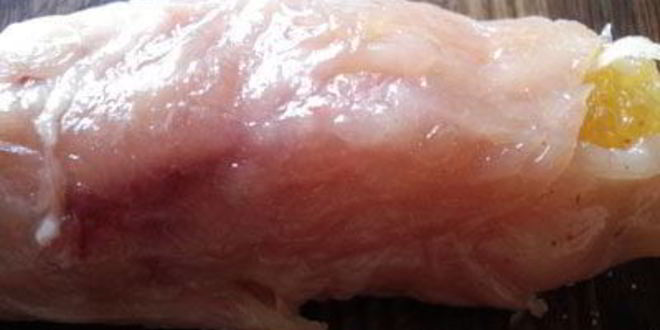 Рецепт куриные рулетики с апельсинами