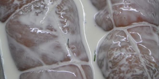 Рецепт куриные рулетики с креветками и сыром