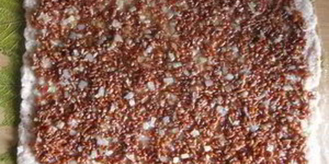 Рецепт рулет из индейки в виноградных листьях, фаршированный рисом и баклажанами