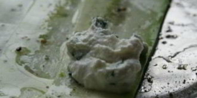 Рецепт рулетики из цуккини