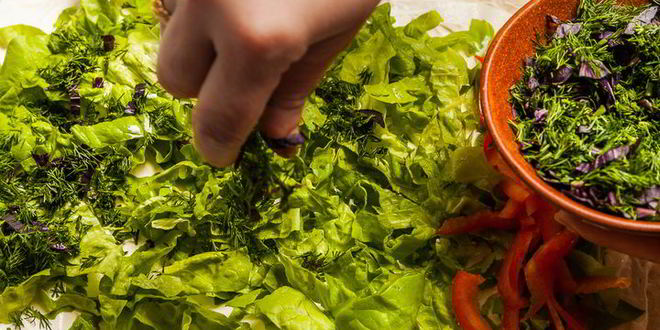 Рецепт рулетики