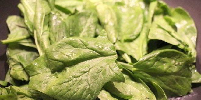 Рецепт рыбный рулет со шпинатом, сыром джюгас и кедровыми орешками