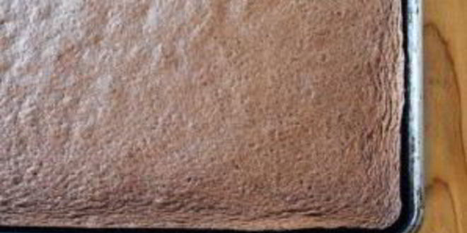 Рецепт шоколадного рулета со взбитыми сливками