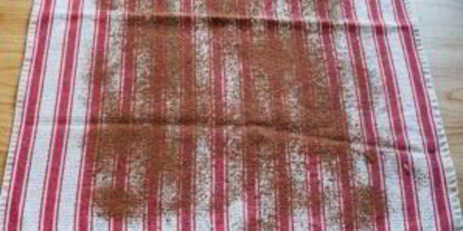 Рецепт шоколадного рулета со взбитыми сливками