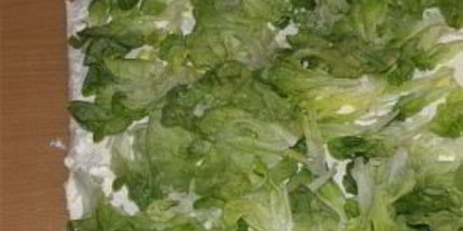 Рецепт семга в лаваше