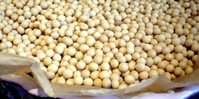 Рецепт шоколадно-сливочный тарт только мысли все о нем и о нем