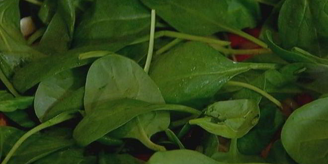 Рецепт тортилья с овощами и сыром