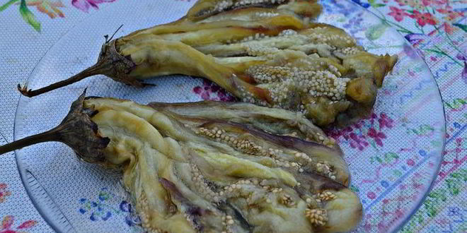 Рецепт закуска из баклажанов на гриле